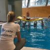 dolijn training